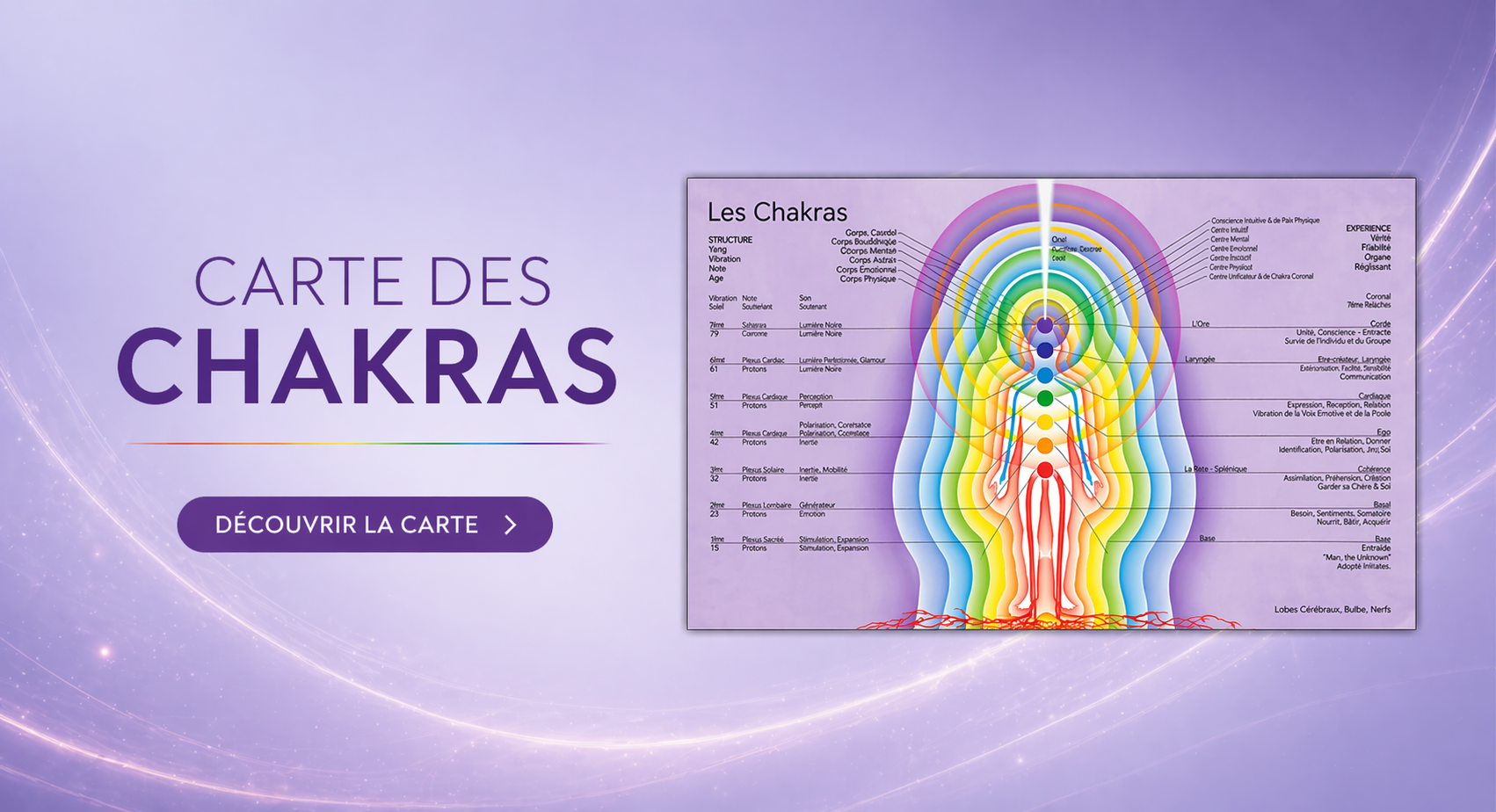 Poster Carte des Chakras